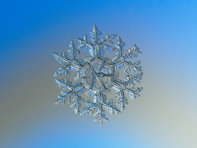 Snowflake