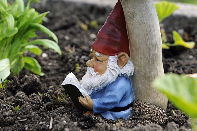 Gnome