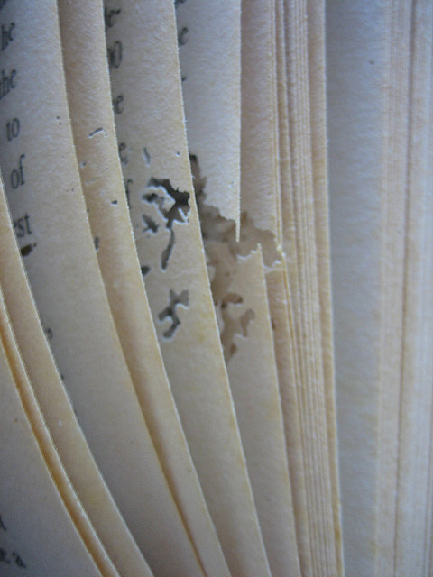 Pages