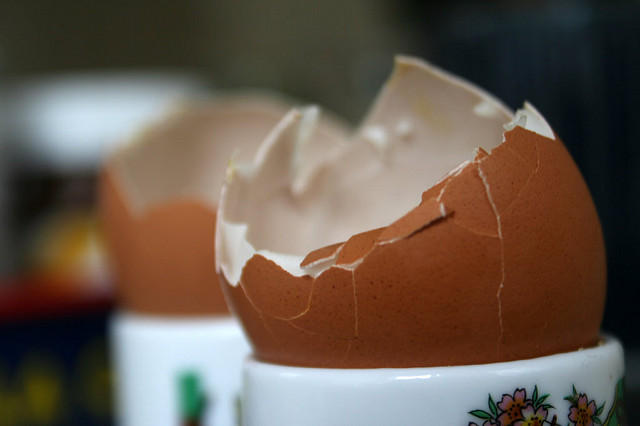 Egg